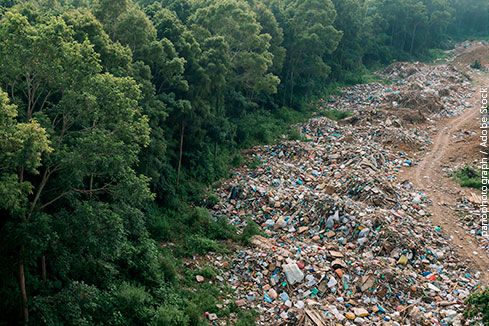 Capa da notícia: A fiscalização ambiental e a responsabilidade compartilhada entre os entes federativos